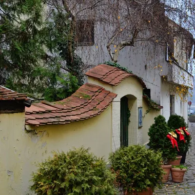 DSC_0449-szentendre