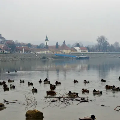 DSC_0468-szentendre-l