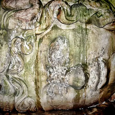 DSC_8415-medusa