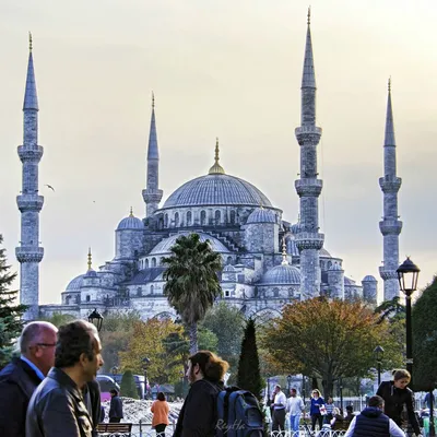 DSC_8422-Sultanahmed