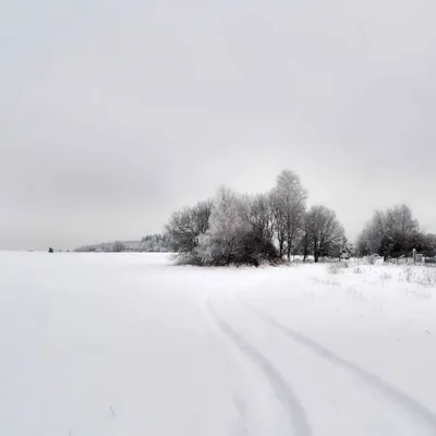 DSC_5426-bilo