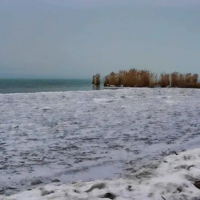 DSC_6282-Balaton-m