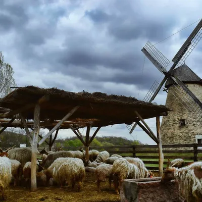DSC_4502-french-countryside