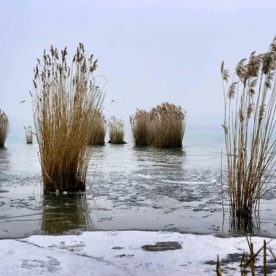DSC_6238-cold