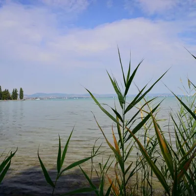 DSC_8122-balaton