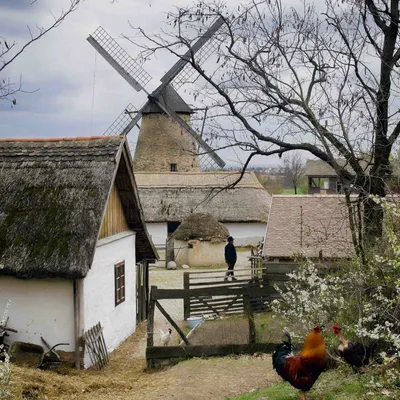 staveni-s-mlynem