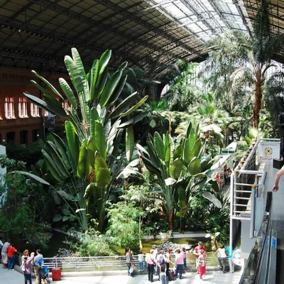 DSC_0858-Atocha