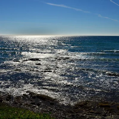 DSC_1746-t