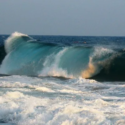 DSC_4113m