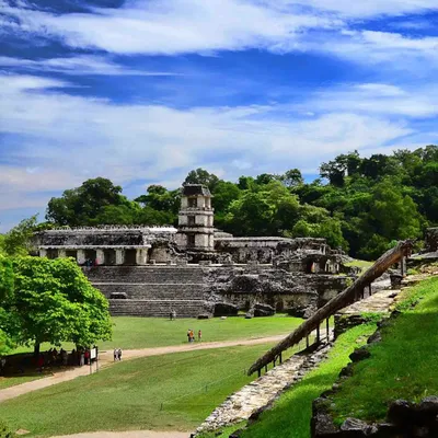DSC_0117-palenque-m