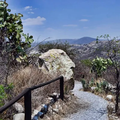 DSC_3142-pod-pena-bernal