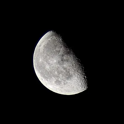 IMG_2986