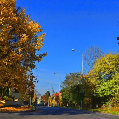 DSC_0040